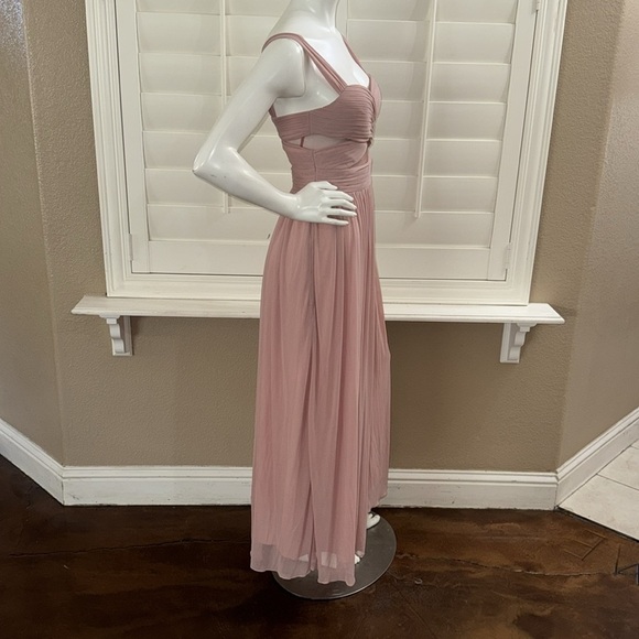 Birdy Grey Elsye Dress Mesh Dusty Rose - Picture 6 of 12